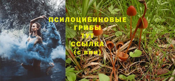 таблы Алексеевка