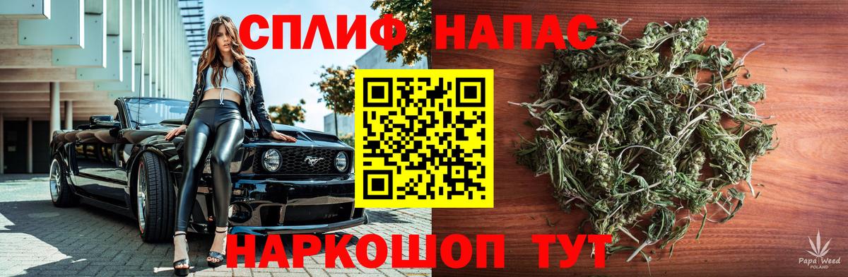 Бошки Шишки гибрид Махачкала